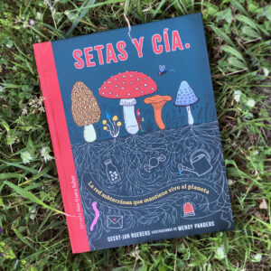 Setas y Cía. La red subterránea que mantiene vivo al planeta